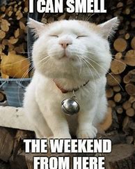 Image result for Come On Weekend Meme