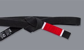 Image result for Brazilian Jiu Jitsu Black Belt