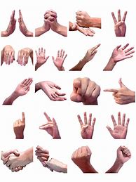 Image result for Cool Hand Signals