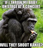 Image result for Harambe and Celebrity Meme