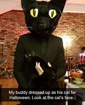 Image result for Halloween Cat Memes