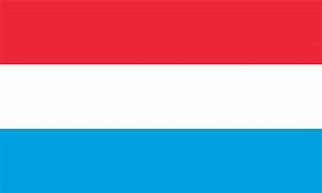 Image result for White and Cyan Flag