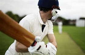 Image result for Cricket Cricket Ideas From My Cricket Machine