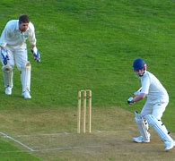 Image result for By Playing the Cricket Fall Down