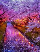 Image result for Isaja Japan Photos