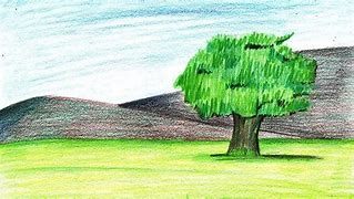 Image result for Tree Scribble