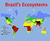 Image result for Brazil Ecosystems