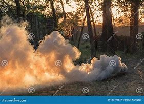 Image result for Smoke Grenade Explosion