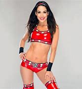 Image result for Brie Bella Photo Shoot