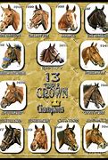 Image result for Collage 13 Triple Crown Winners