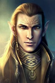Image result for Elf Wizard Portrait