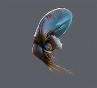 Image result for Humanoid Squid Alien