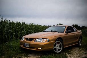 Image result for Mustang SN95 Aztec Gold