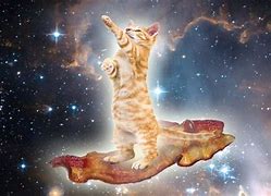 Image result for Space Cat Meme