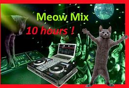 Image result for MEOW Mix Theme Song