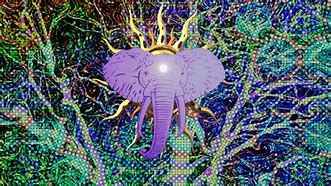 Image result for Trippy Animal Wallpapers