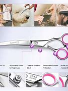 Image result for Safety Dog Grooming Scissors