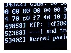 Image result for Kernel Panic Variants