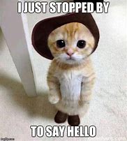 Image result for Hello Cat Meme