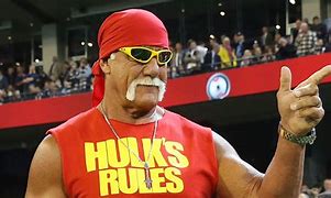 Image result for Hulk Hogan