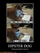 Image result for Hipster Dog Meme