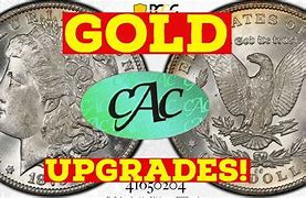 Image result for Cac Gold Sticker