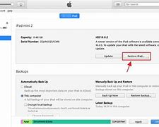 Image result for Factory Reset through iTunes