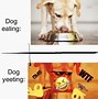 Image result for Relatable Dog Memes