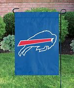 Image result for Buffalo Bills Buffalo Shaped Outdoor Signs