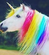 Image result for A Picture of a Real Unicorn