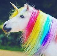 Image result for Baby Unicorn Horse