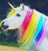 Image result for Pretty Colorful Unicorns