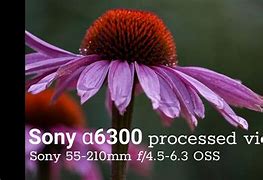 Image result for Sony A6300 Lens
