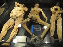 Image result for Museo De Mummies Guanajuato