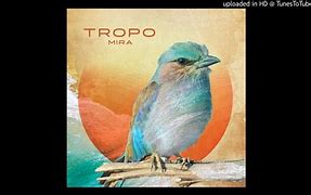 Image result for ie�tropo