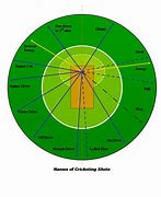 Image result for Cricket Playing Field