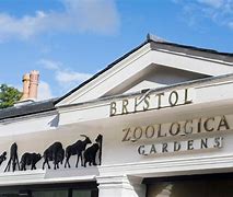 Image result for Bristol Zoo Entrance