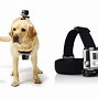Image result for Off Brand GoPro Accessories