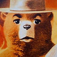 Image result for Smokey the Bear Sol Meme