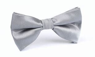 Image result for Silver Bow Tie