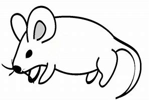 Image result for Sketch of 2 Cute Mouse