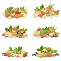 Image result for Fruit À Coque