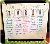 Image result for 5 Senese's Anchor Chart