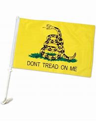 Image result for Don't Tread on Me Flag
