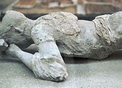 Image result for Pompeii Petrified Horse