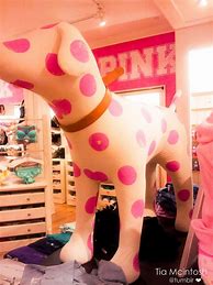 Image result for Cute Pink Victoria Secret Outfits