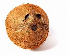 Image result for Coconut Face