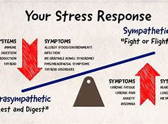 Image result for Stress Response Chart