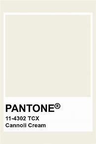 Image result for Cream Pantone Color