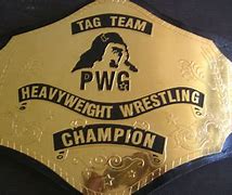Image result for PWG World Championship